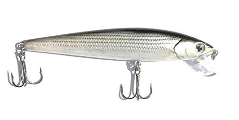 Minnow Swimmer - Striped Bass