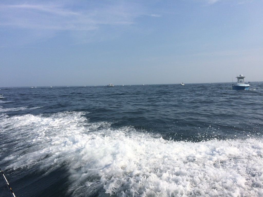 Atlantic Coast Striped Bass Fishing Regulations for 2026: Status Quo Holds Amid Population Concerns